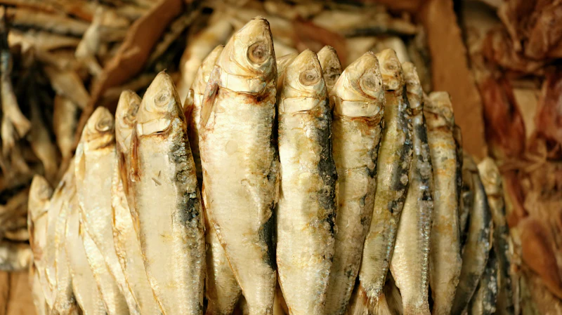 Rows of sun-dried whole fish